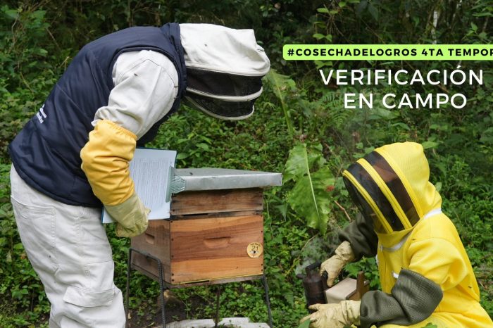 Verificación en campo